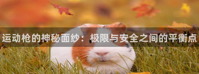 千亿国际官方正版app娱乐首页网站大全:运动枪的神秘面纱:极