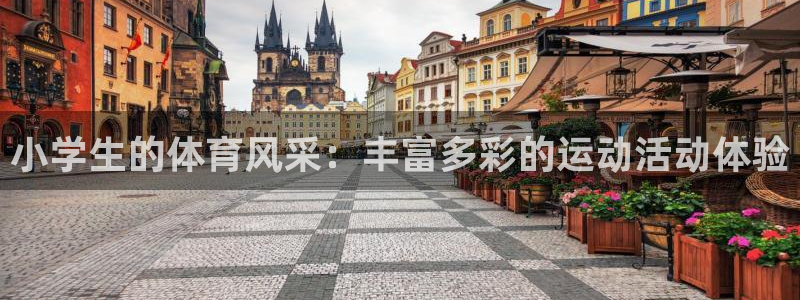 千亿国际官方正版app娱乐首页网站大全:小学生的体育风采:丰