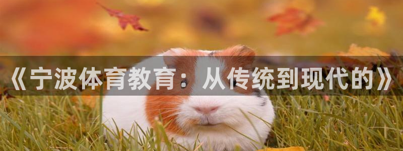 千亿国际官方正版app官方:《宁波体育教育:从传统到现代的》