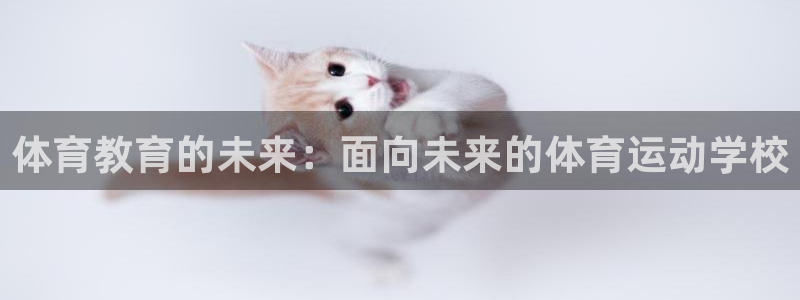 千亿国际官网下载是干嘛的公司:体育教育的未来:面向未来的体育